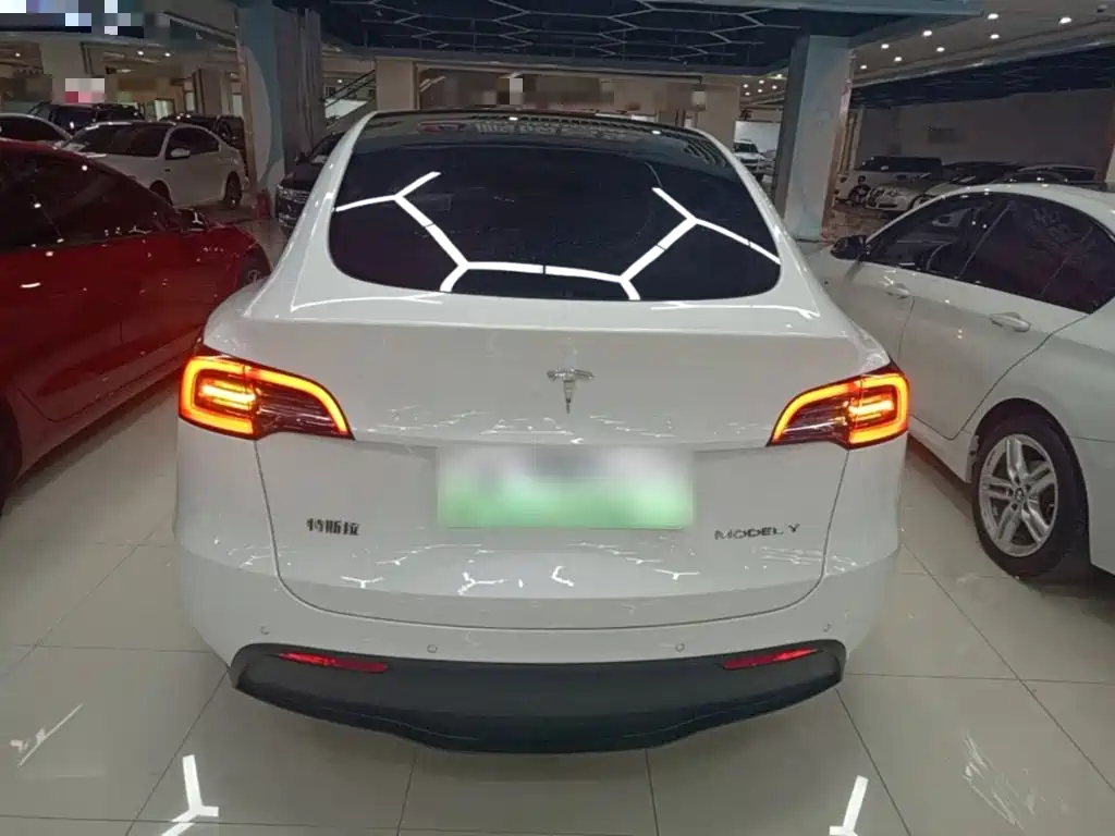 Tesla Model Y — миниатюра 6