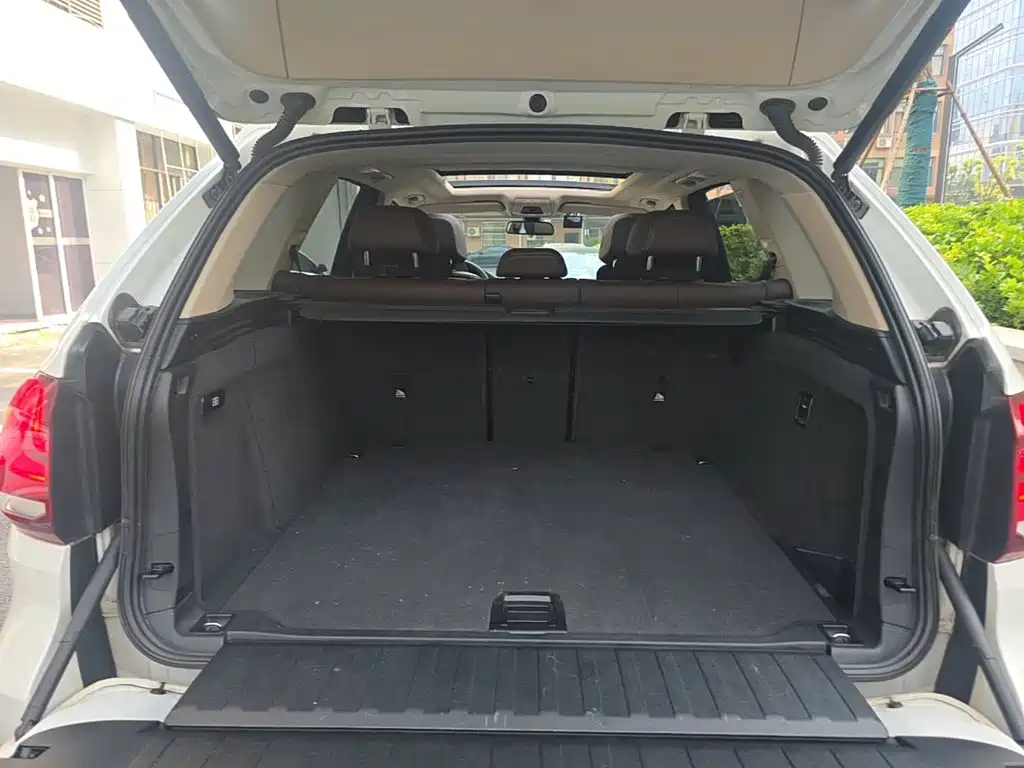BMW X5 (Import) — миниатюра 19