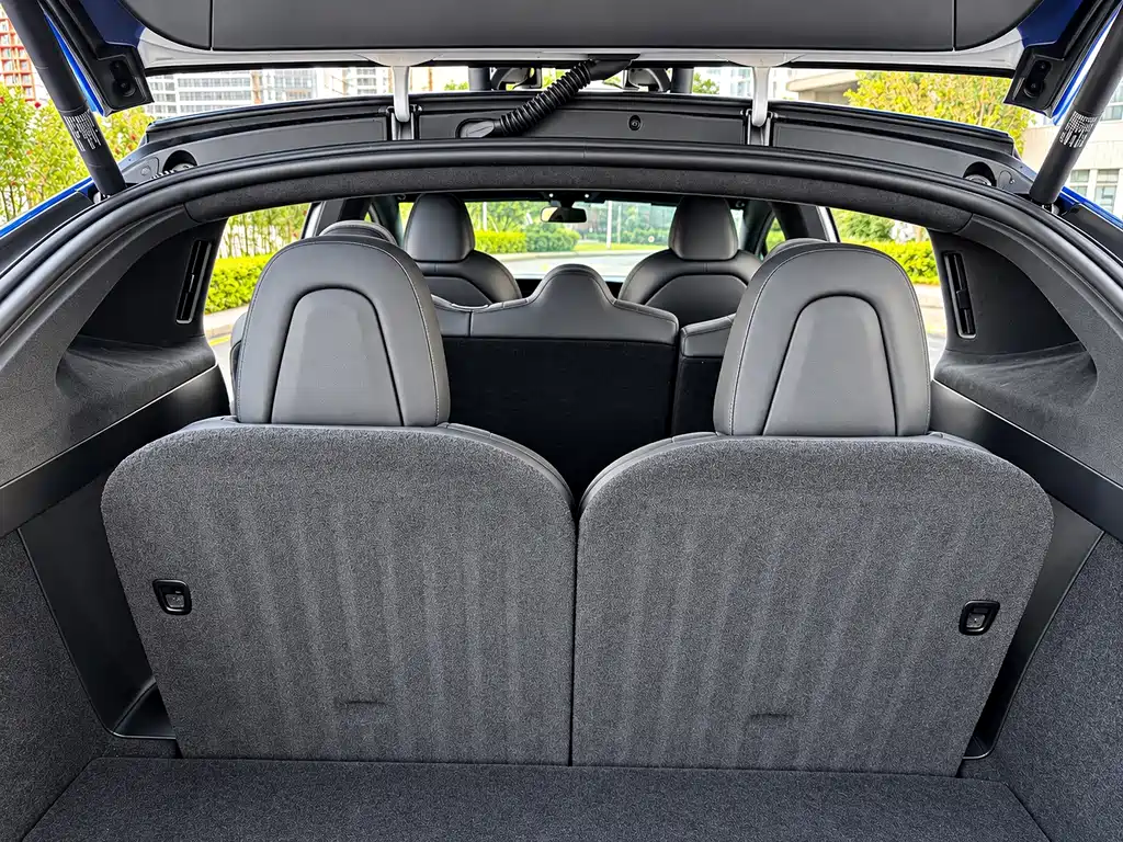 Tesla Model X — миниатюра 18
