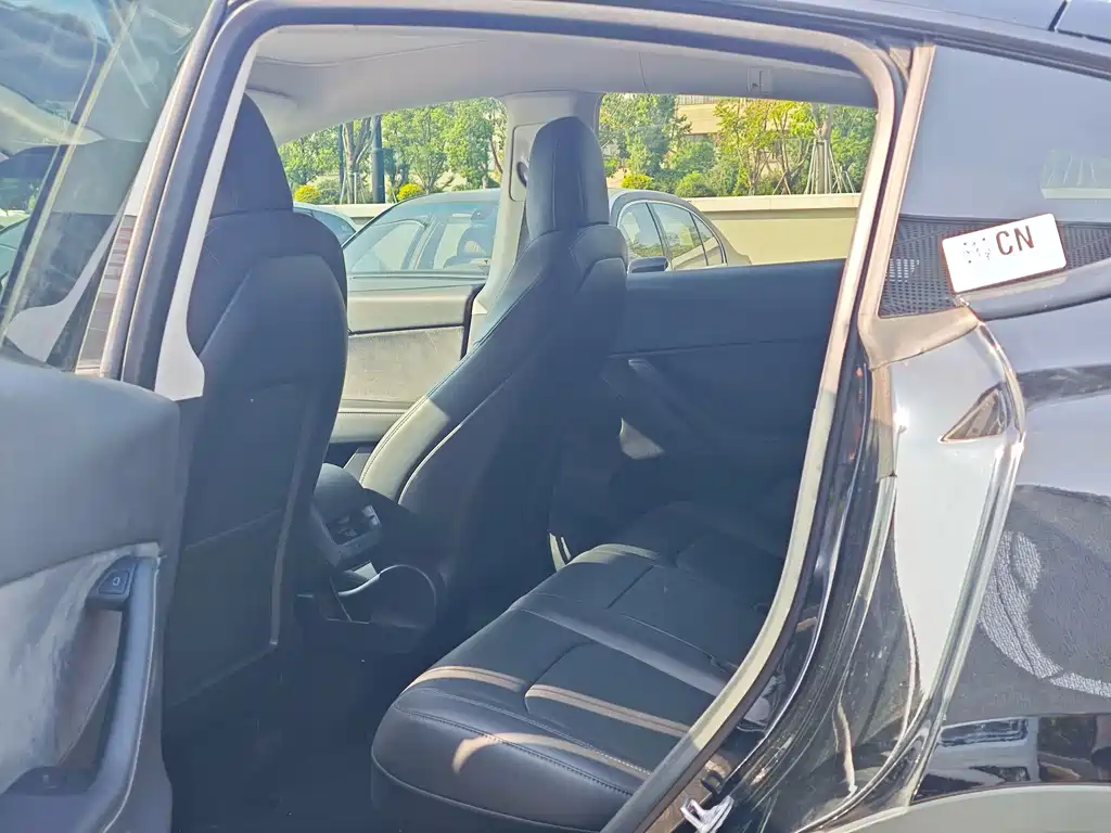 Tesla Model Y — миниатюра 4