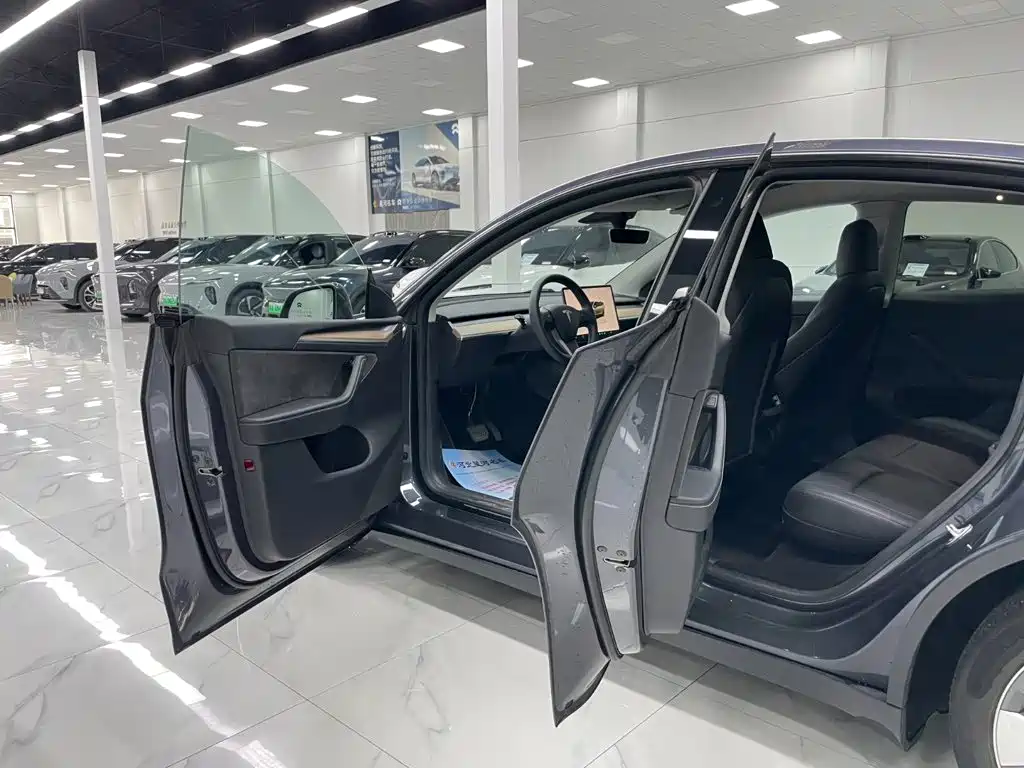 Tesla Model Y — миниатюра 10
