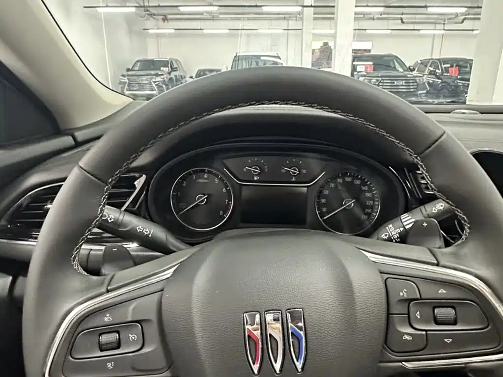 Buick Regal — миниатюра 12