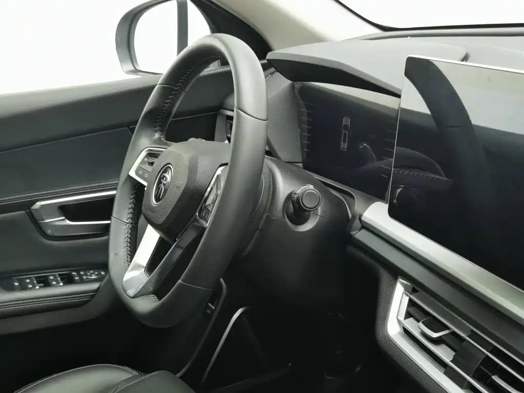 BYD Pro — миниатюра 22
