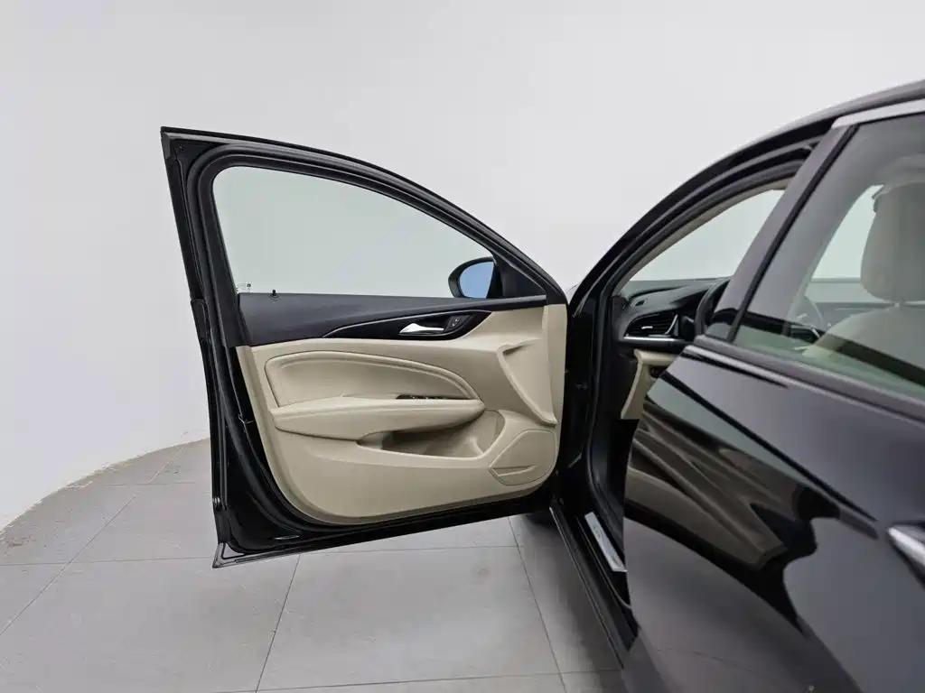 Buick Regal — миниатюра 8