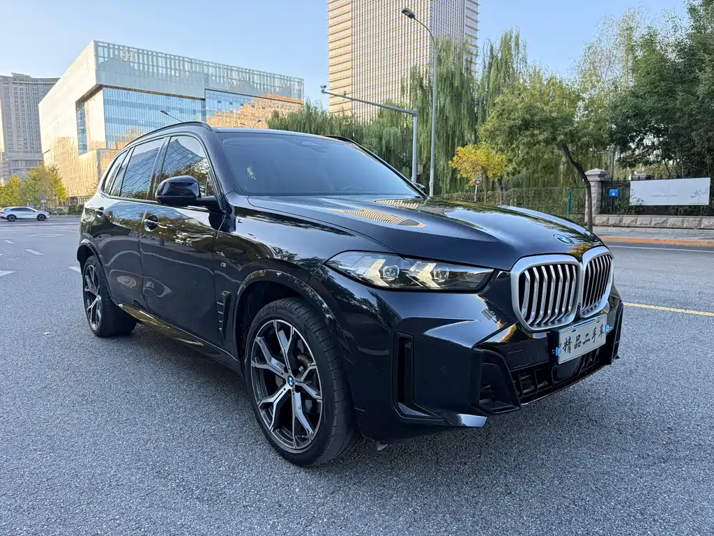 BMW X5 — миниатюра 3
