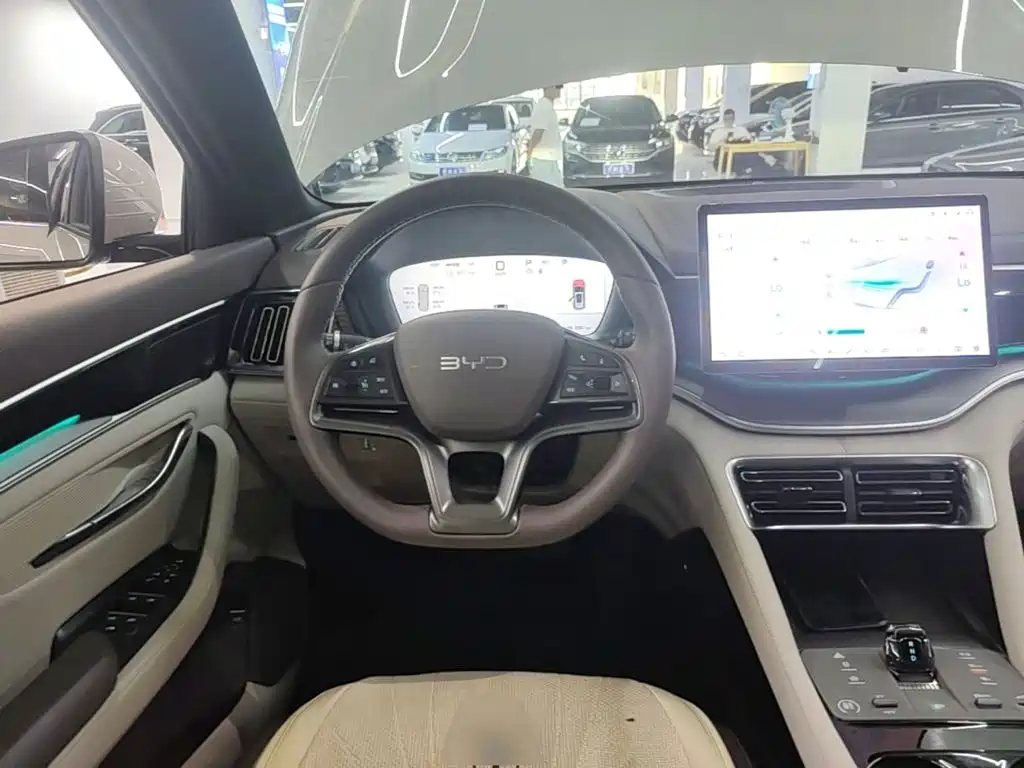 BYD PLUS New Energy — миниатюра 11