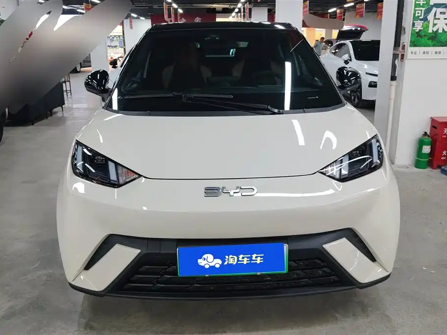 BYD Seagull 2025 305km Freedom