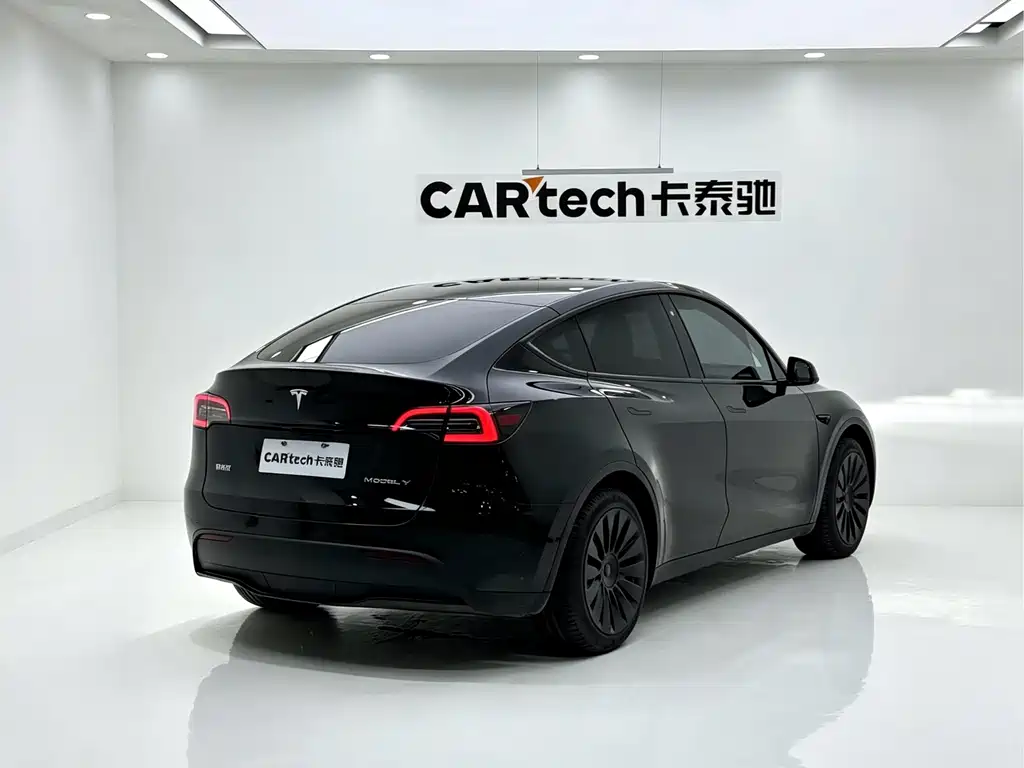Tesla Model Y — миниатюра 5