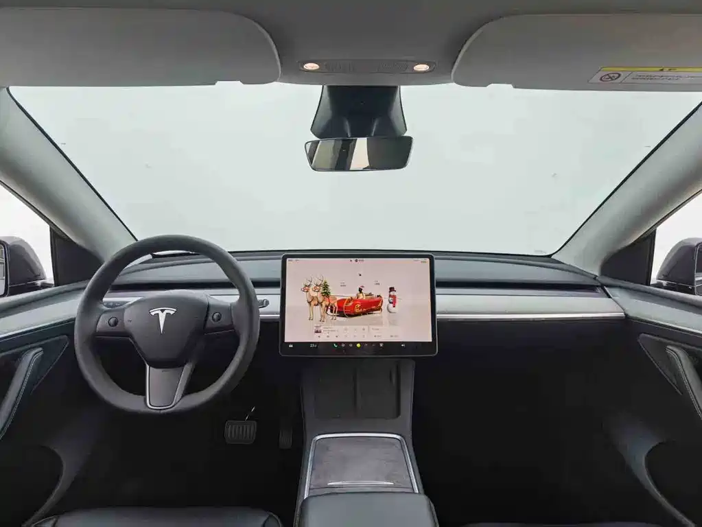 Tesla Model Y — миниатюра 6