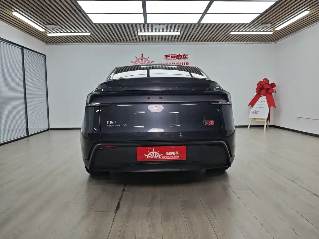 Tesla Model Y — миниатюра 6