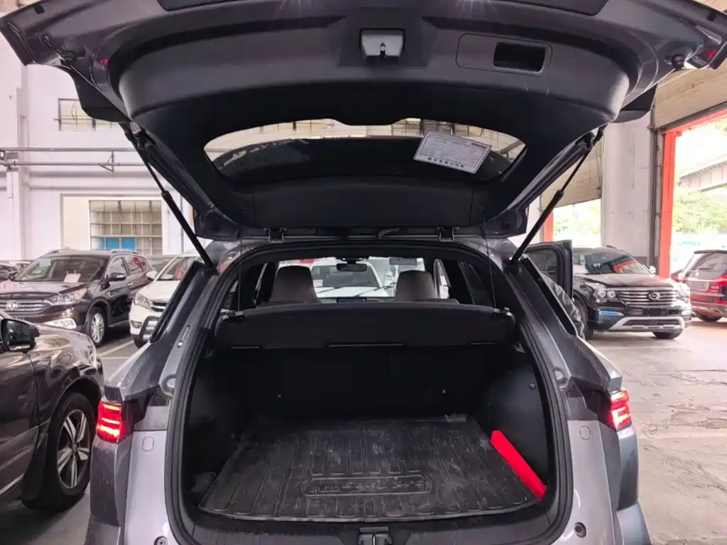 BYD Pro New Energy — миниатюра 19