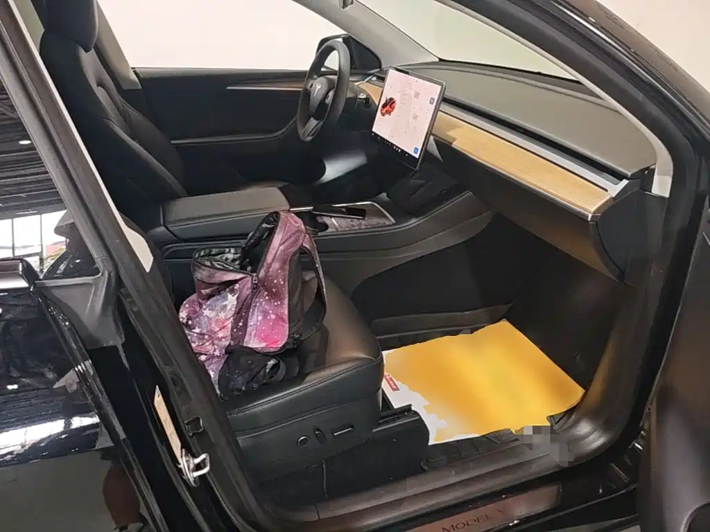 Tesla Model Y — миниатюра 25