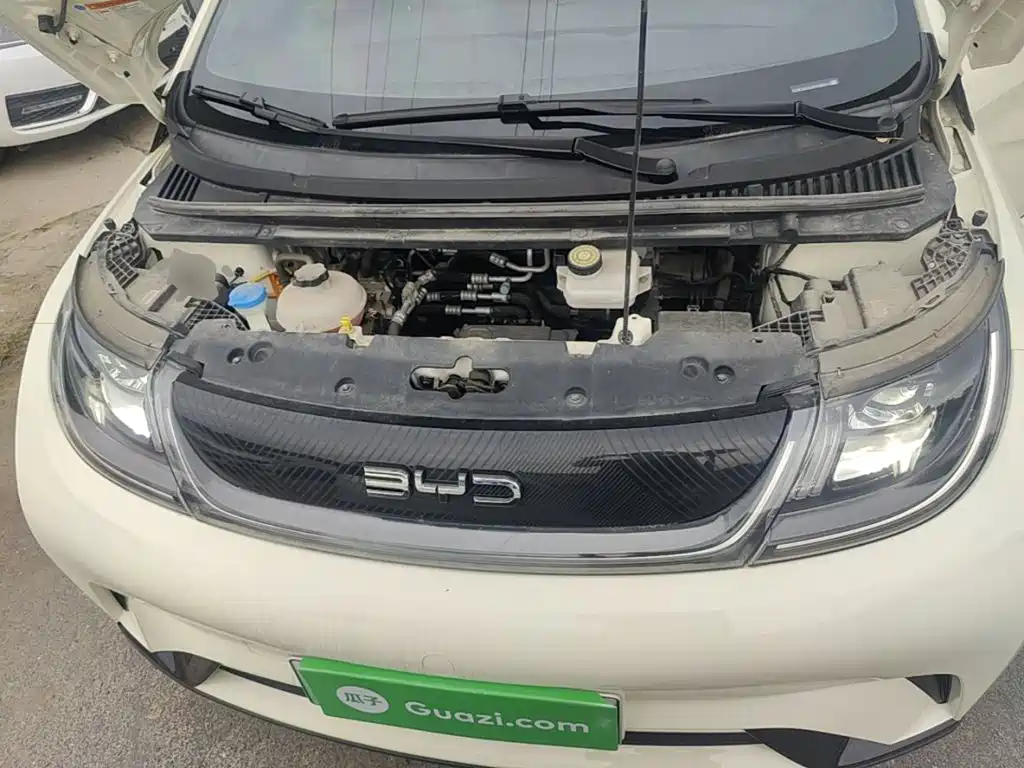 BYD Dolphin — миниатюра 20
