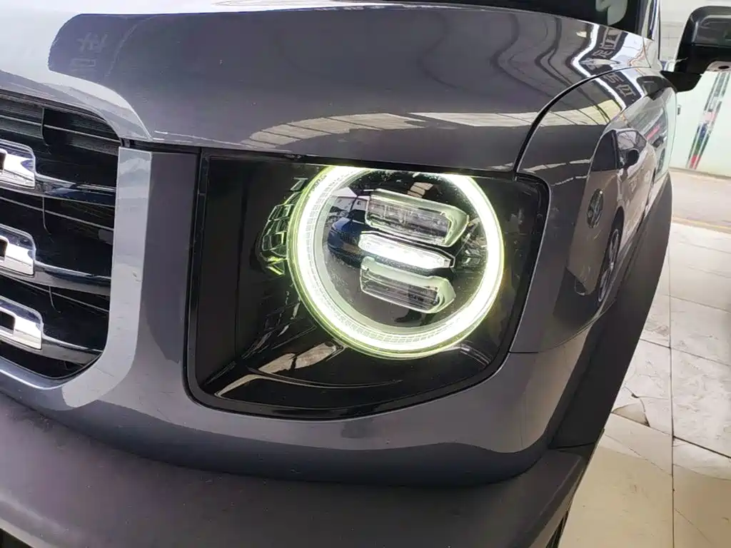 Haval Big Dog — миниатюра 24