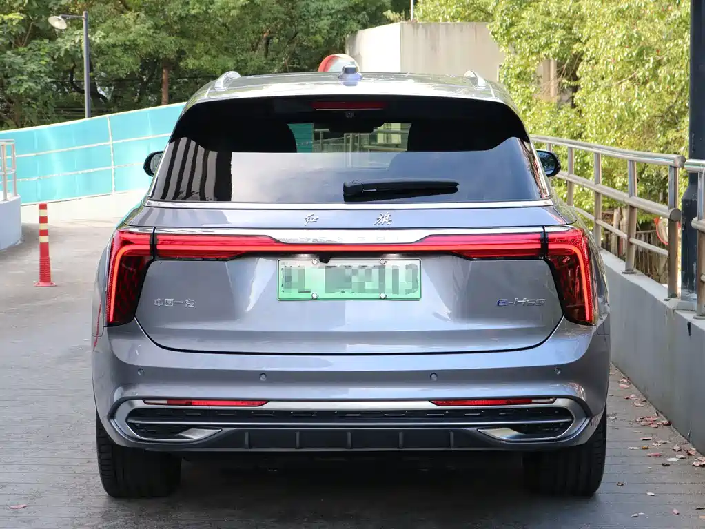 Hongqi Hongqi E-HS9 — миниатюра 5
