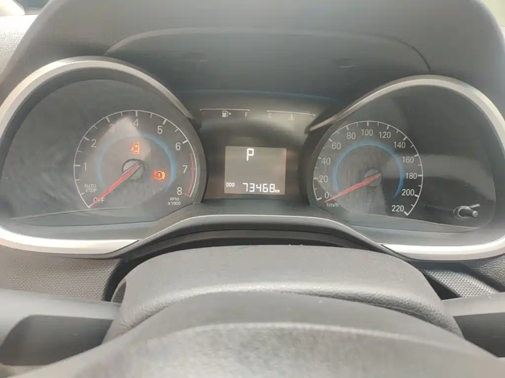 Chevrolet Cavalier — миниатюра 12