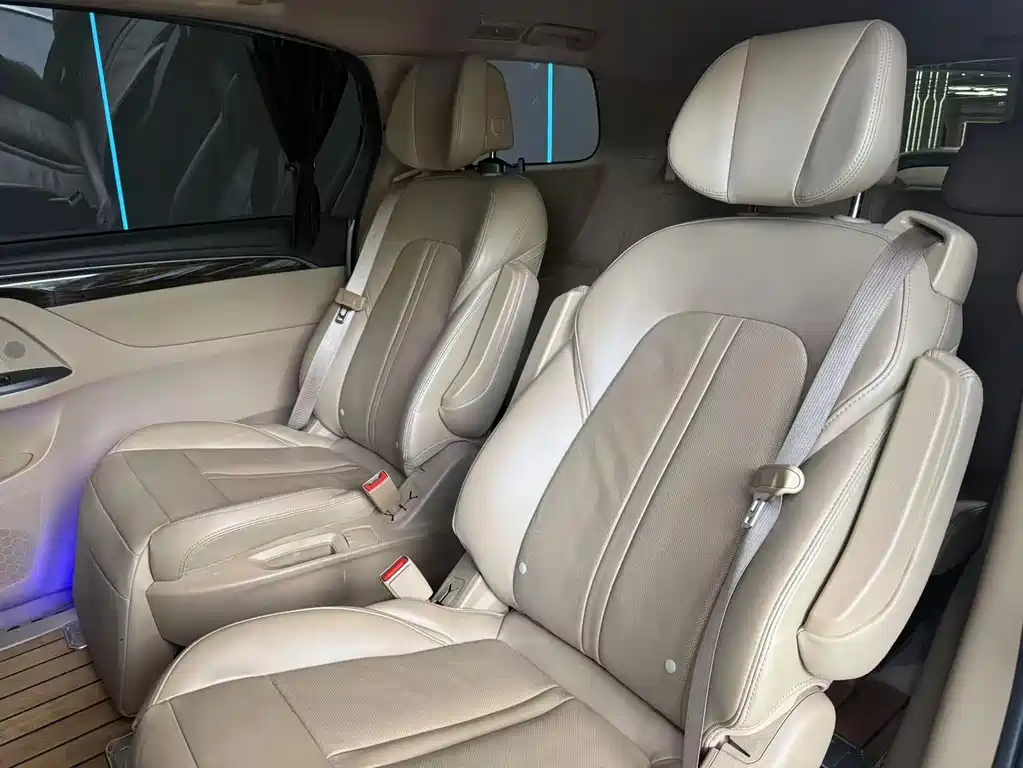 Buick GL8 — миниатюра 10