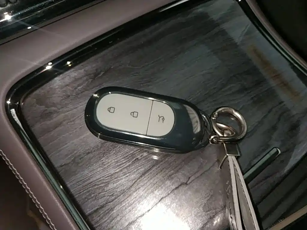 Leapmotor Leapmotor C11 — миниатюра 9