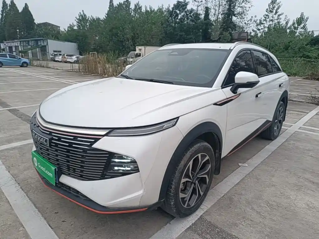 Haval Shenshou — миниатюра 2