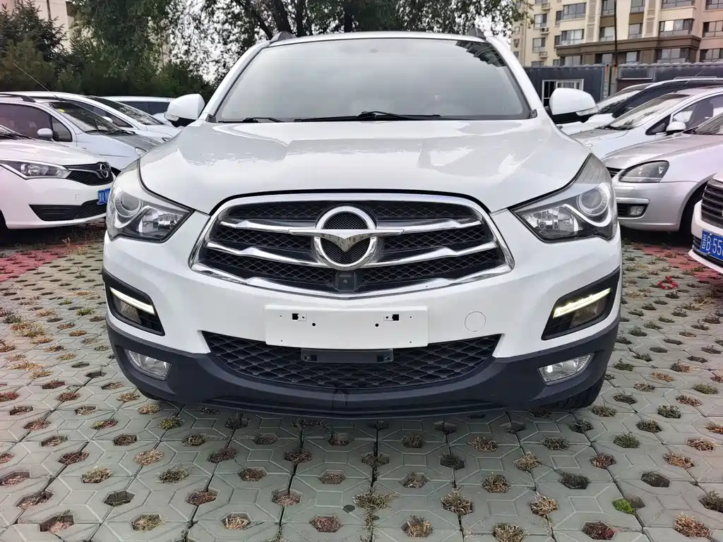 Haima Haima S5 — миниатюра 2