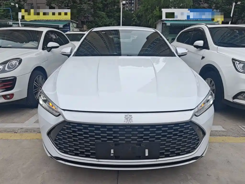 BYD Qin Plus PLUS 2023 Champion DM-i 55KM Lead