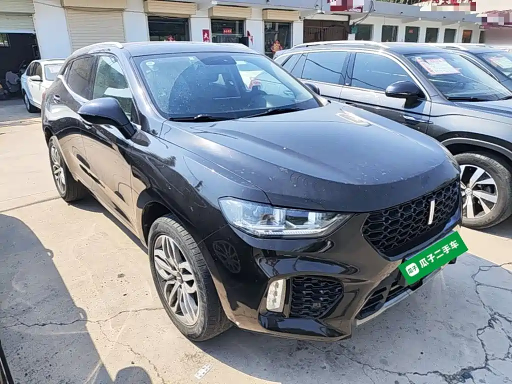 Wey Wey VV5 — миниатюра 4