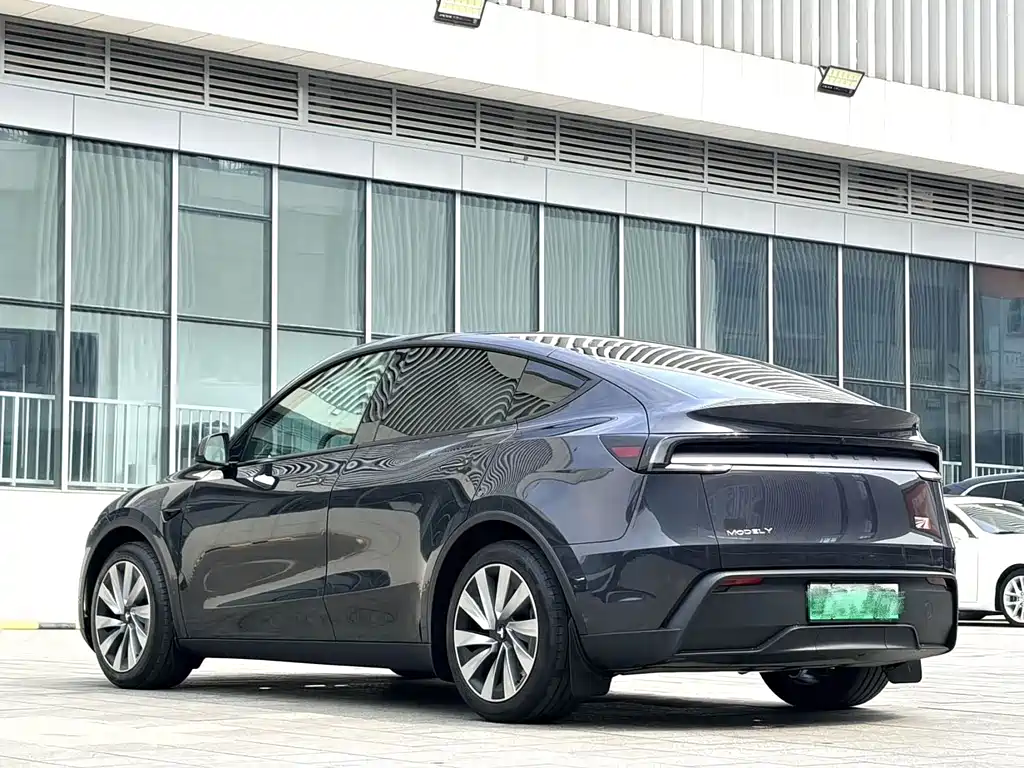 Tesla Model Y — миниатюра 9
