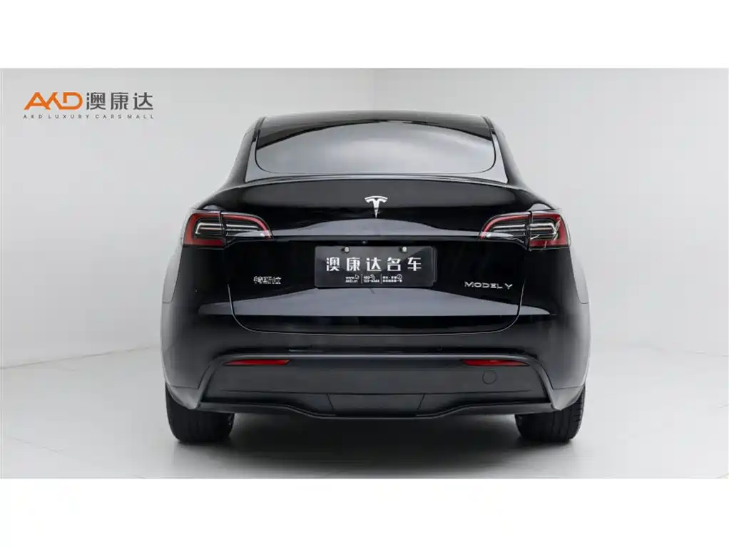 Tesla Model Y — миниатюра 4