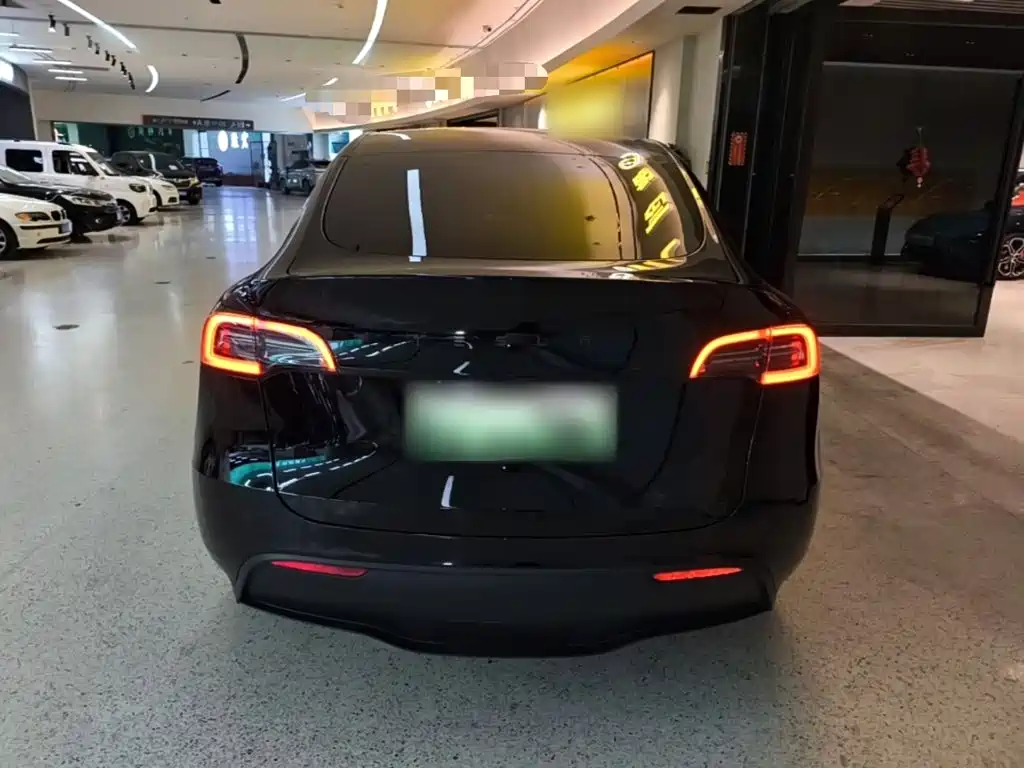 Tesla Model Y — миниатюра 6