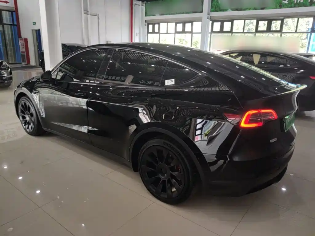 Tesla Model Y — миниатюра 5