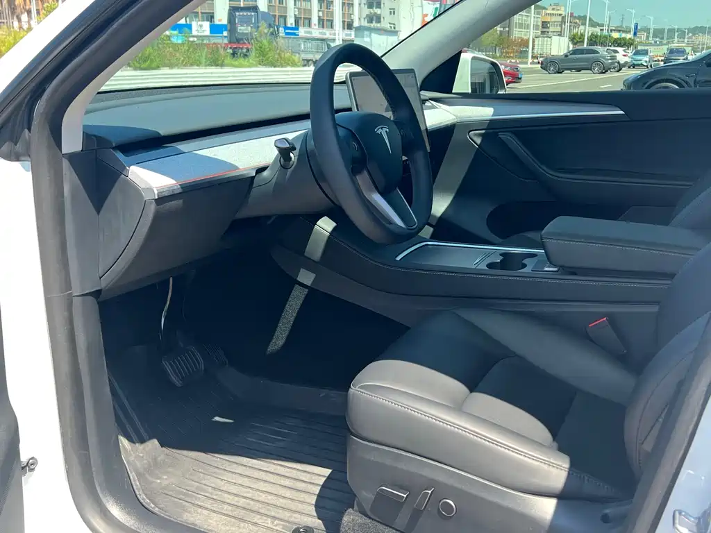 Tesla Model Y — миниатюра 10
