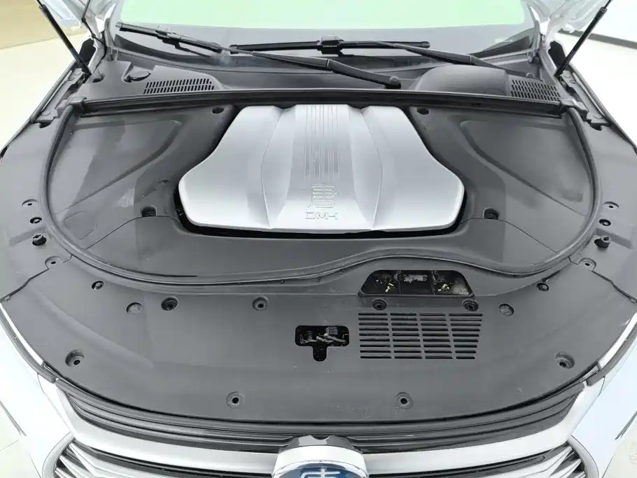 BYD Tang New Energy — миниатюра 10