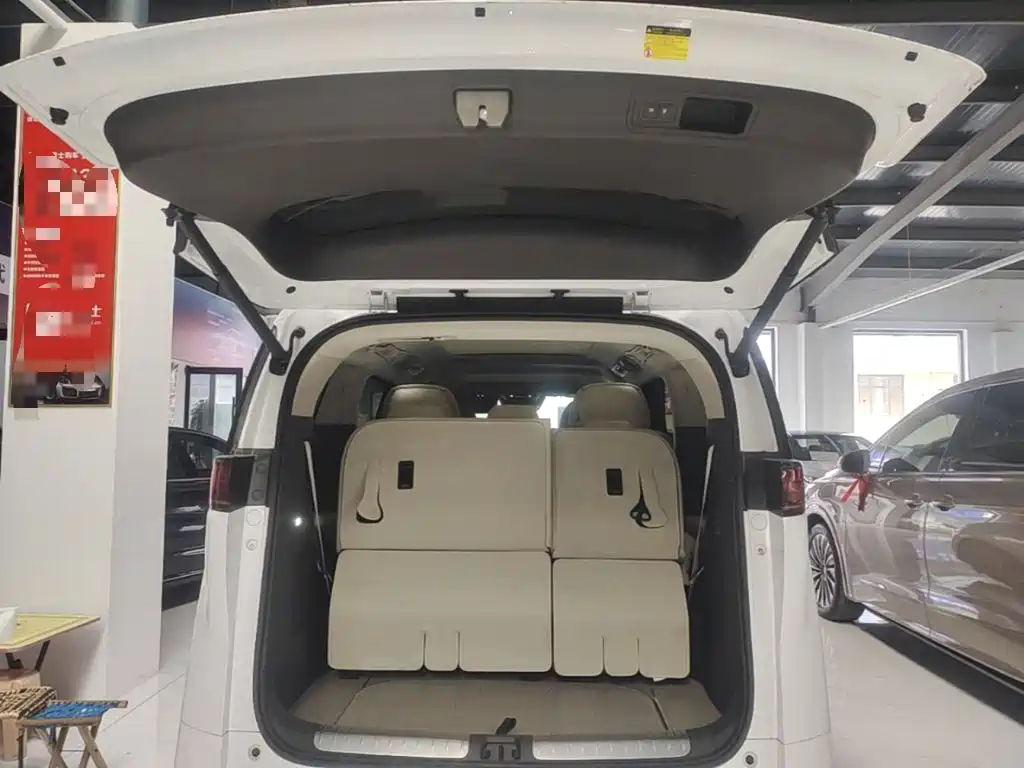 Denza Denza D9 — миниатюра 19