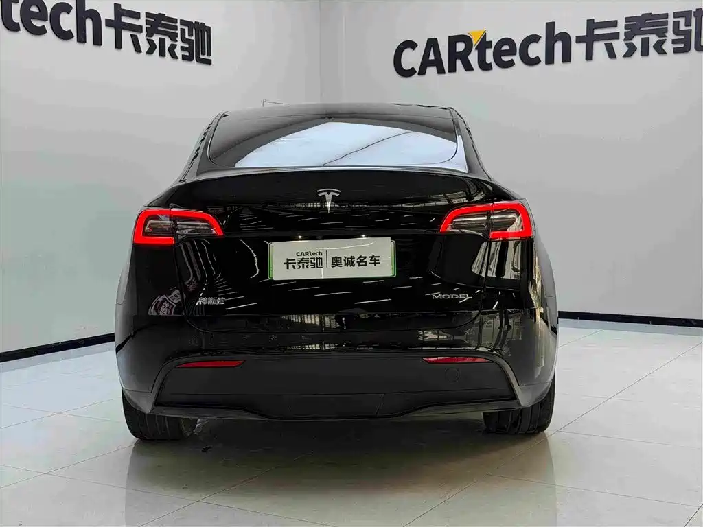 Tesla Model Y — миниатюра 8