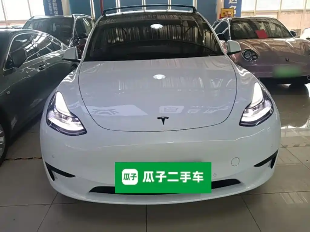 Tesla Model Y — миниатюра 3