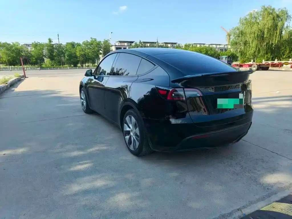 Tesla Model Y — миниатюра 6