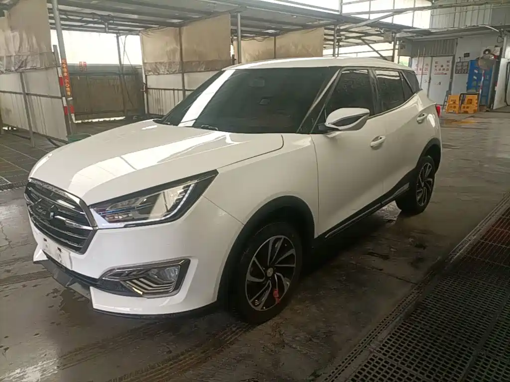 Zotye Zotye T300