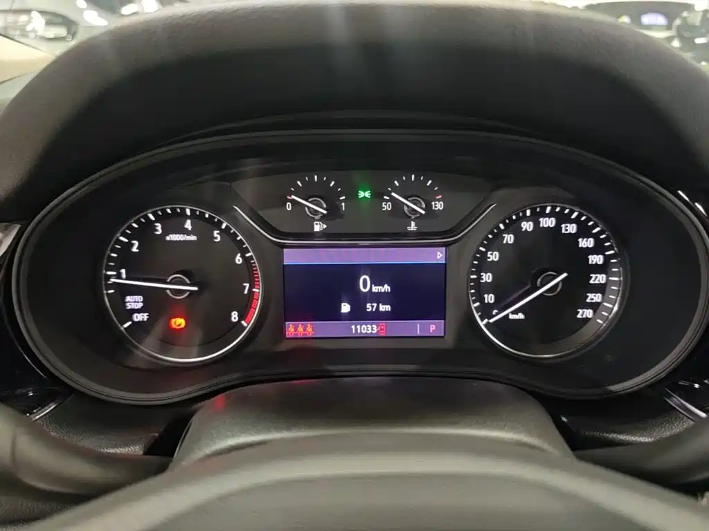 Buick Regal — миниатюра 12