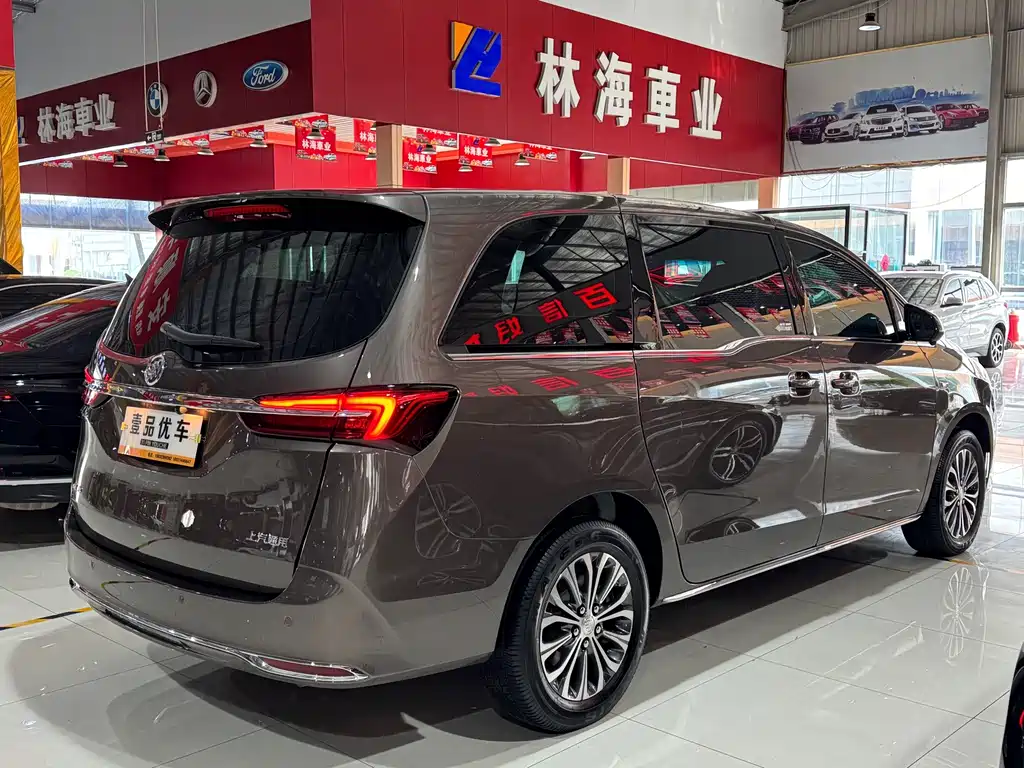 Buick GL8 — миниатюра 24