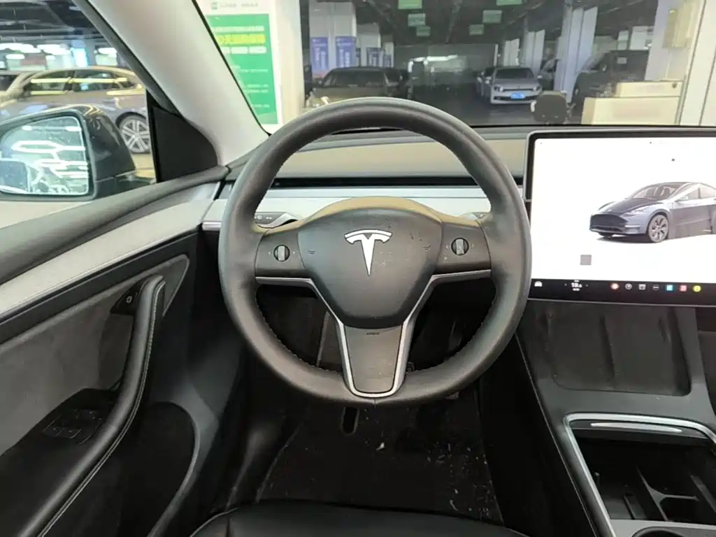 Tesla Model Y — миниатюра 11