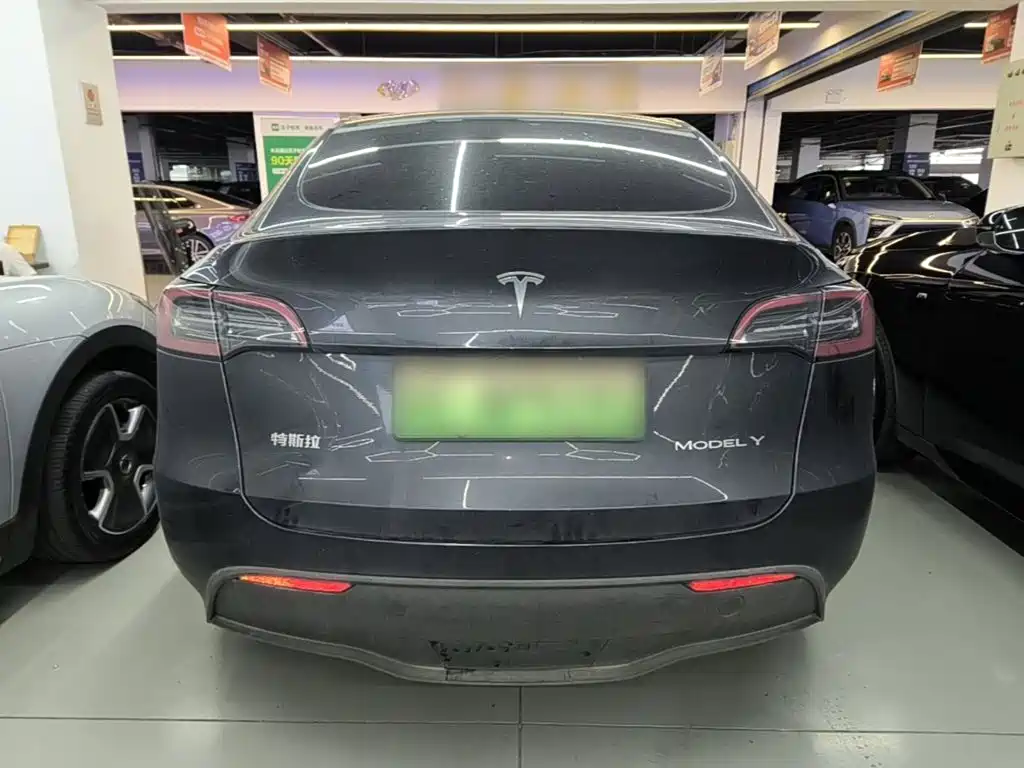 Tesla Model Y — миниатюра 6
