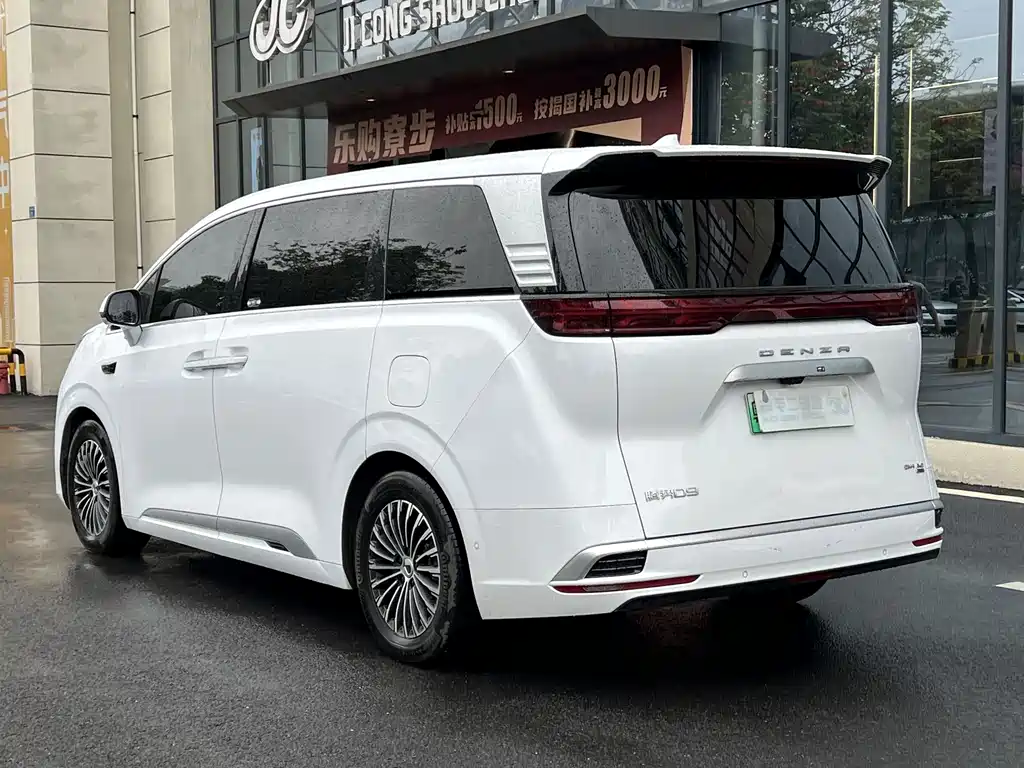 Denza Denza D9 — миниатюра 6