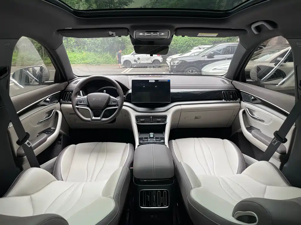 BYD PLUS New Energy - фото 18