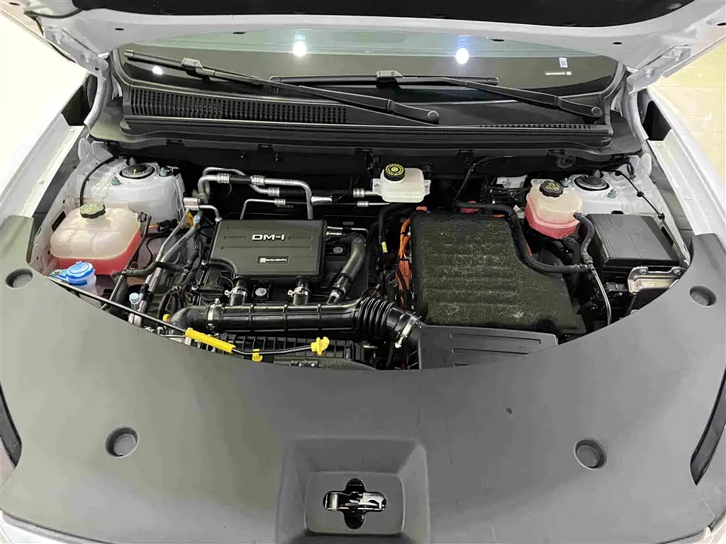 BYD Pro New Energy — миниатюра 13