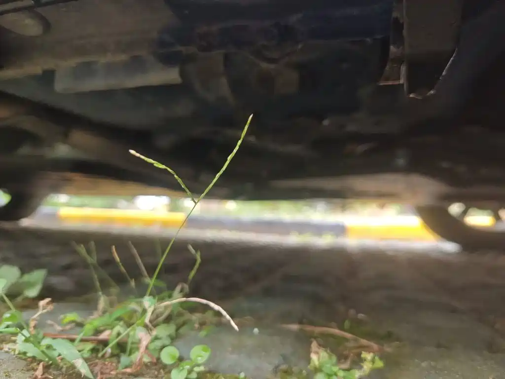 Honda Fit — миниатюра 18