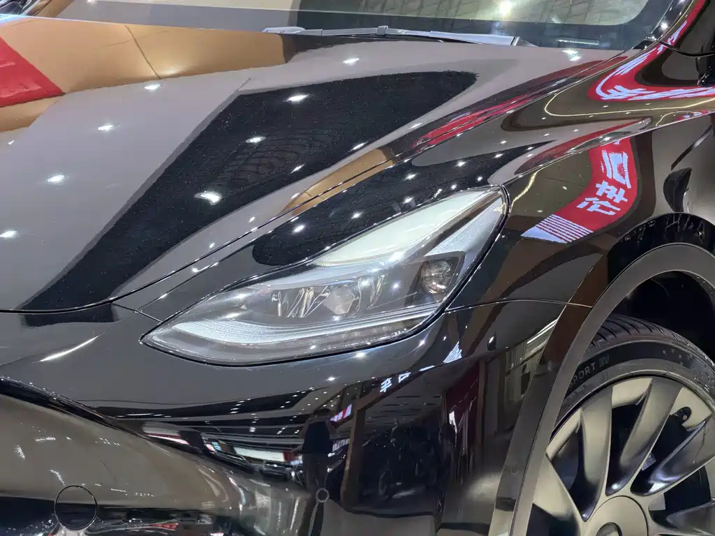 Tesla Model Y — миниатюра 3