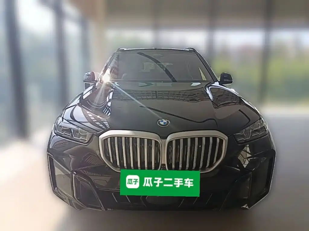 BMW X5 — миниатюра 5