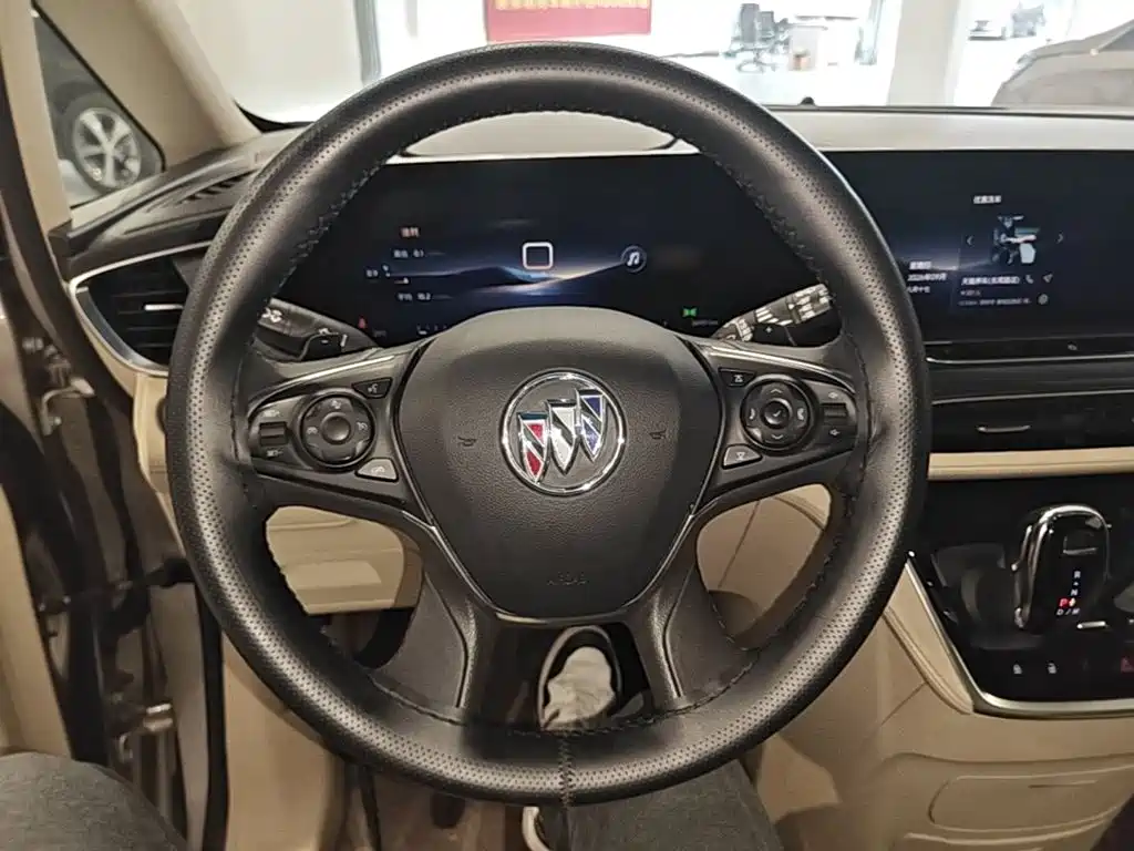 Buick GL8 — миниатюра 11