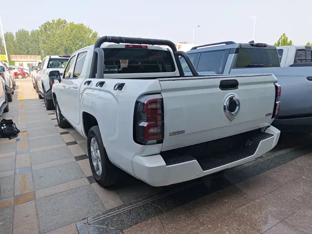 Great Wall King Kong Pao — миниатюра 5