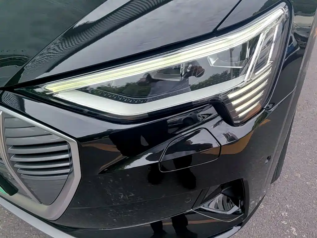 Audi e-tron (Import) — миниатюра 24